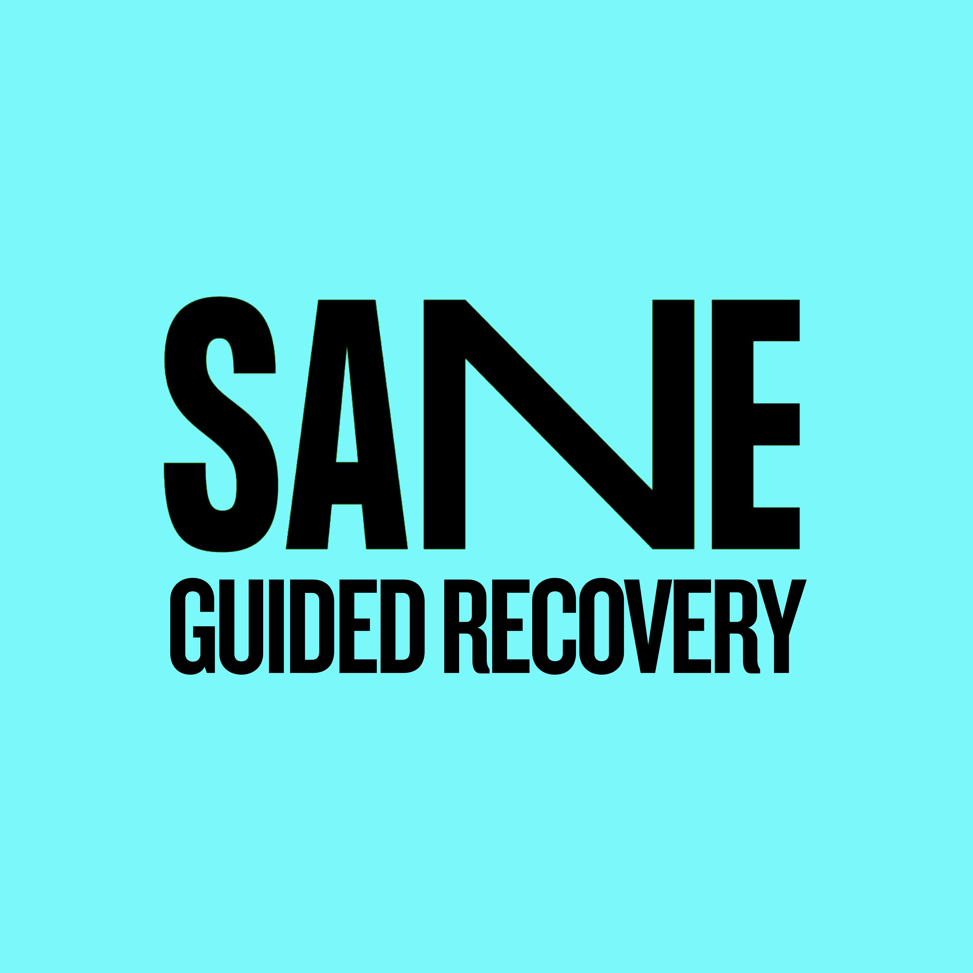 SANE's Guided Recovery