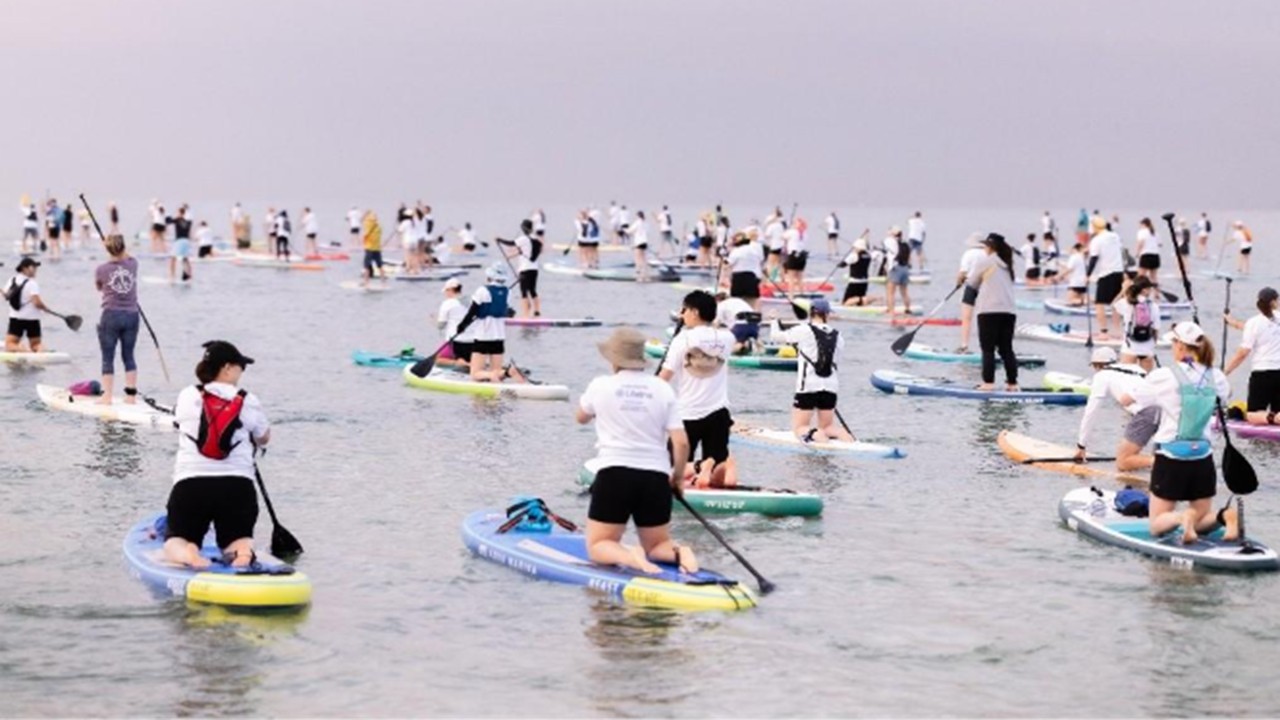 Paddleboarders in the bay