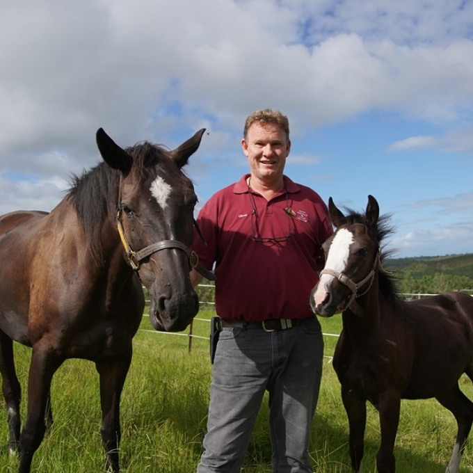 man standing with two horses